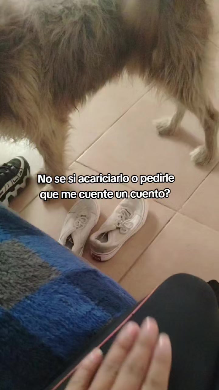@lunita