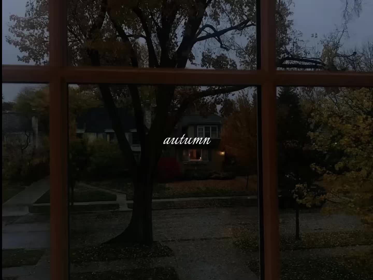 @june ⋆˚࿔