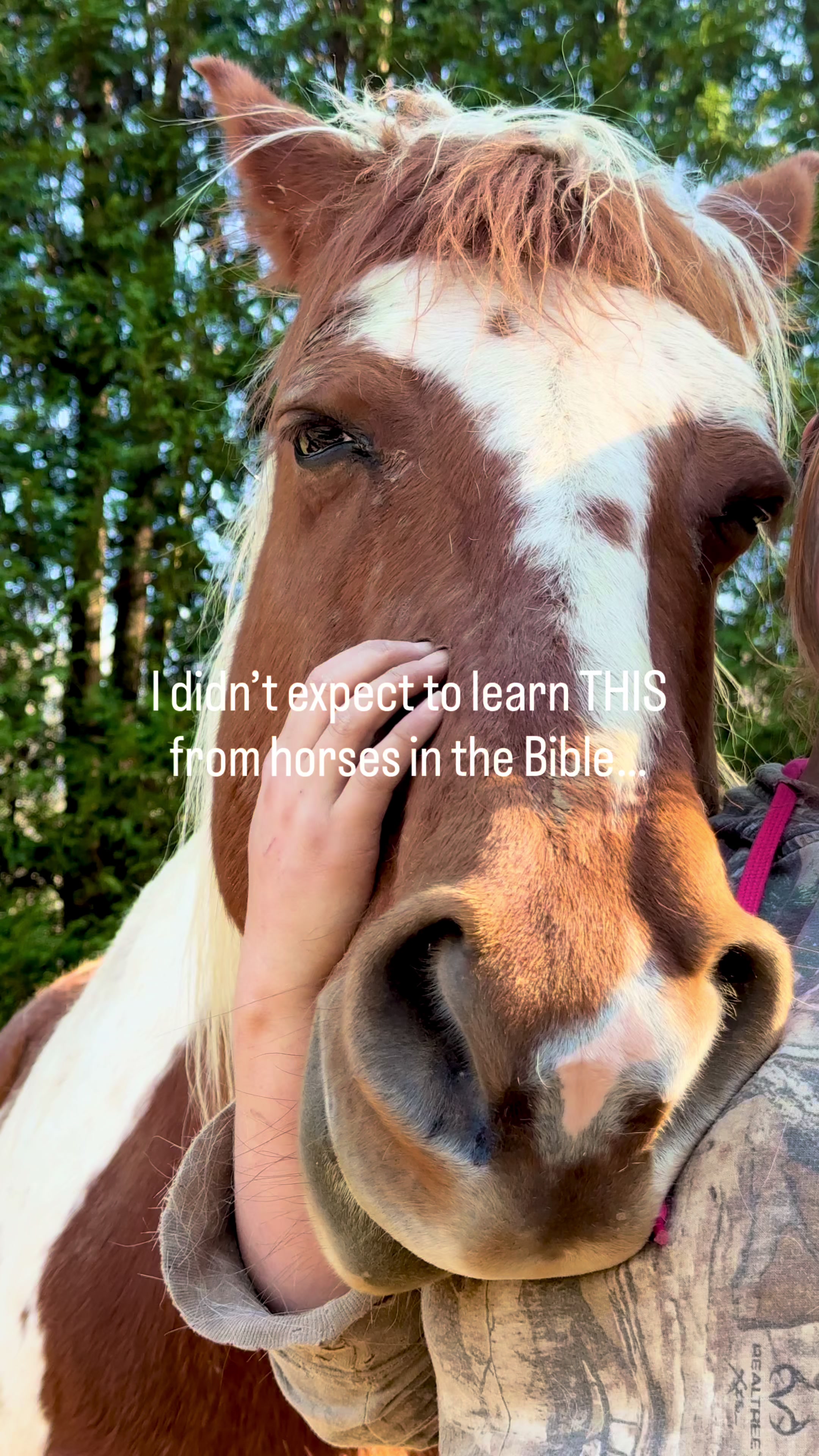 @Jamie Ambrose