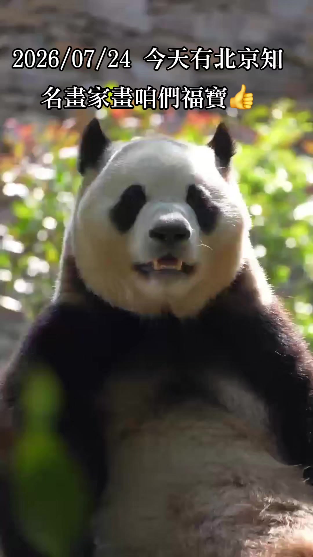 @福寶需要愛的抱抱