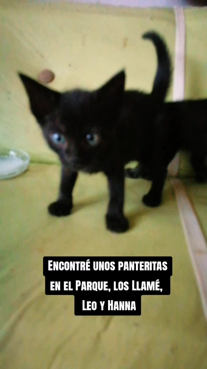 @Liliana Linares