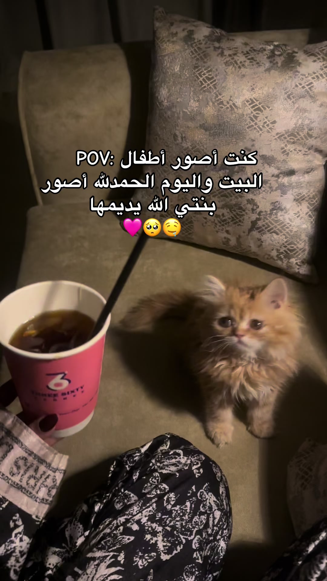 @بلوقر جده | أفراح 🐆