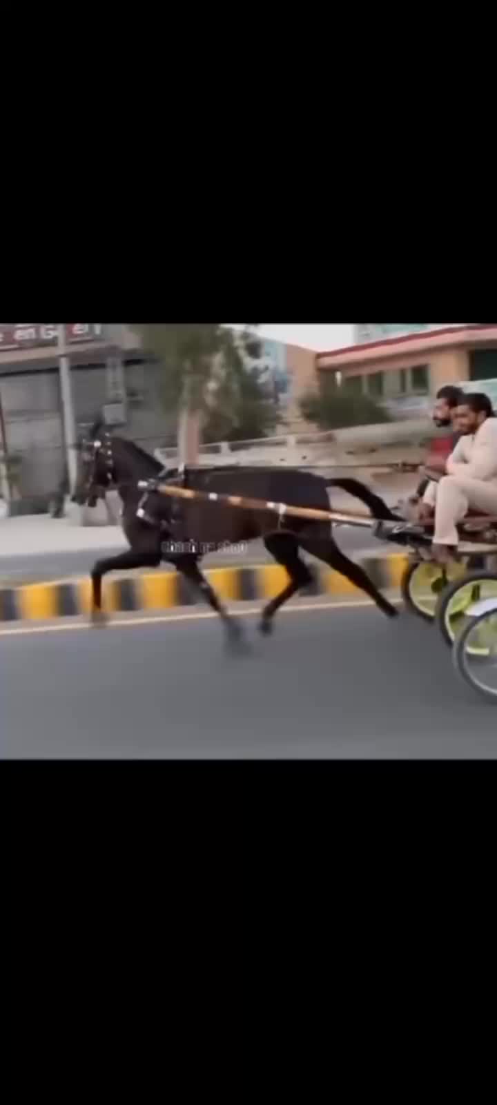 @🐴 گھوڑا شوق 🐴