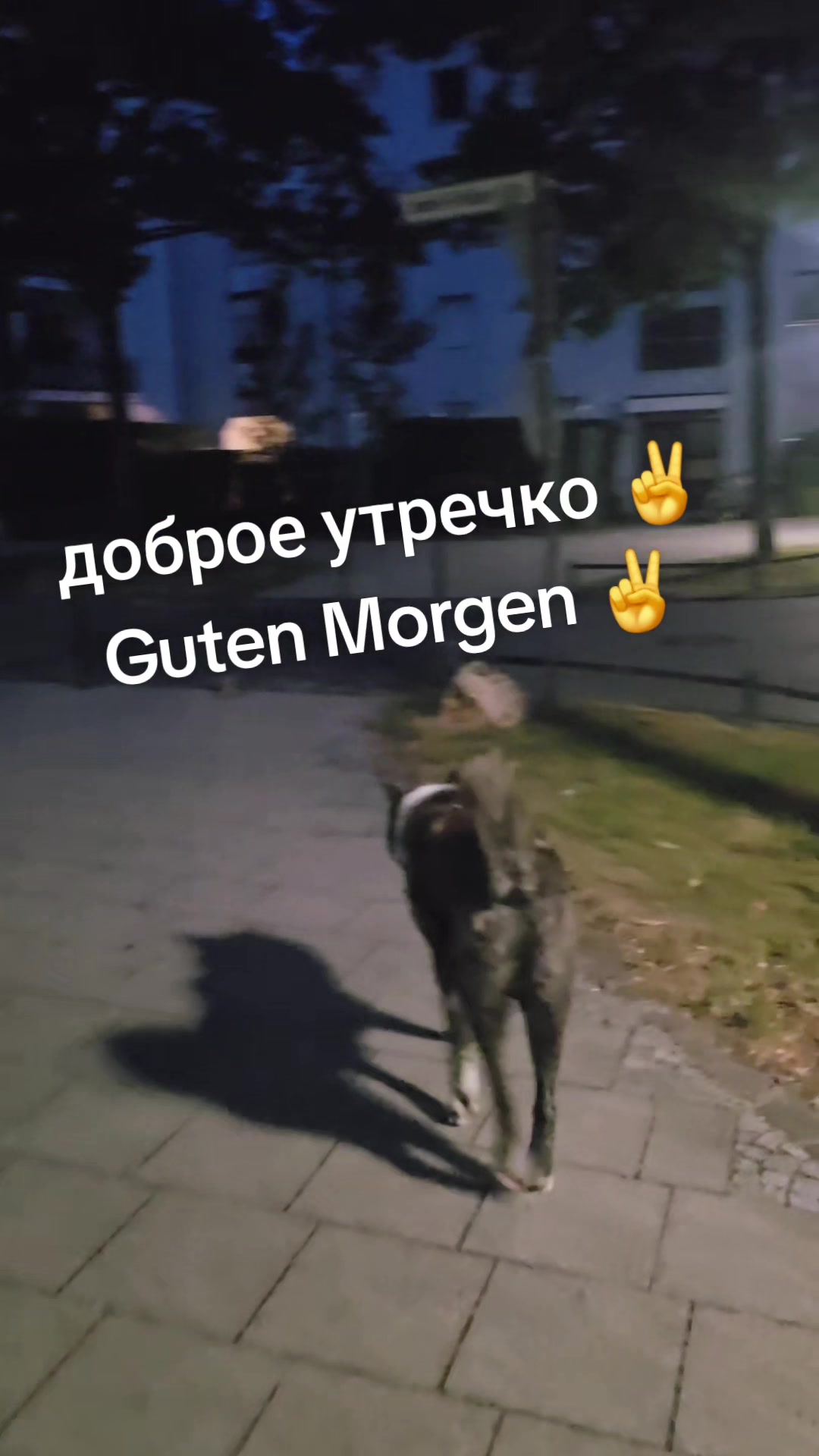 @🇰🇿Dimidrol 🇩🇪