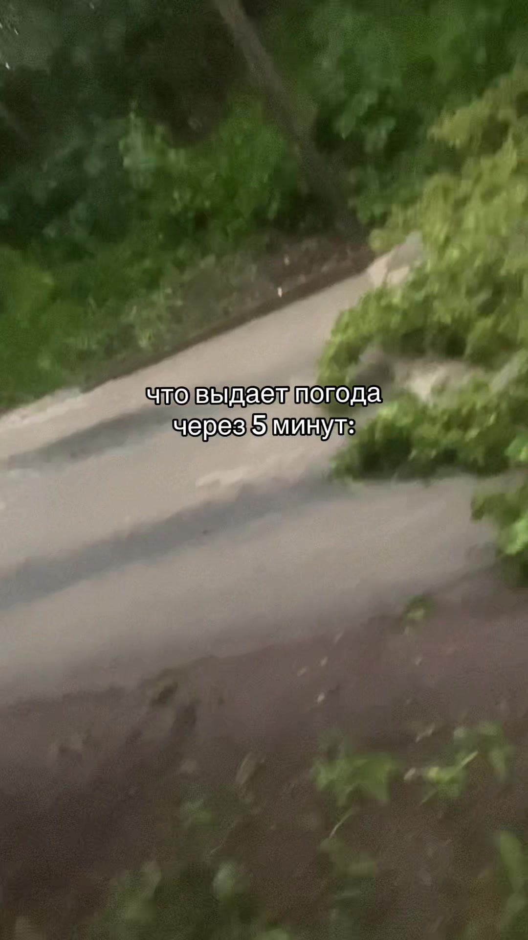 @Женька