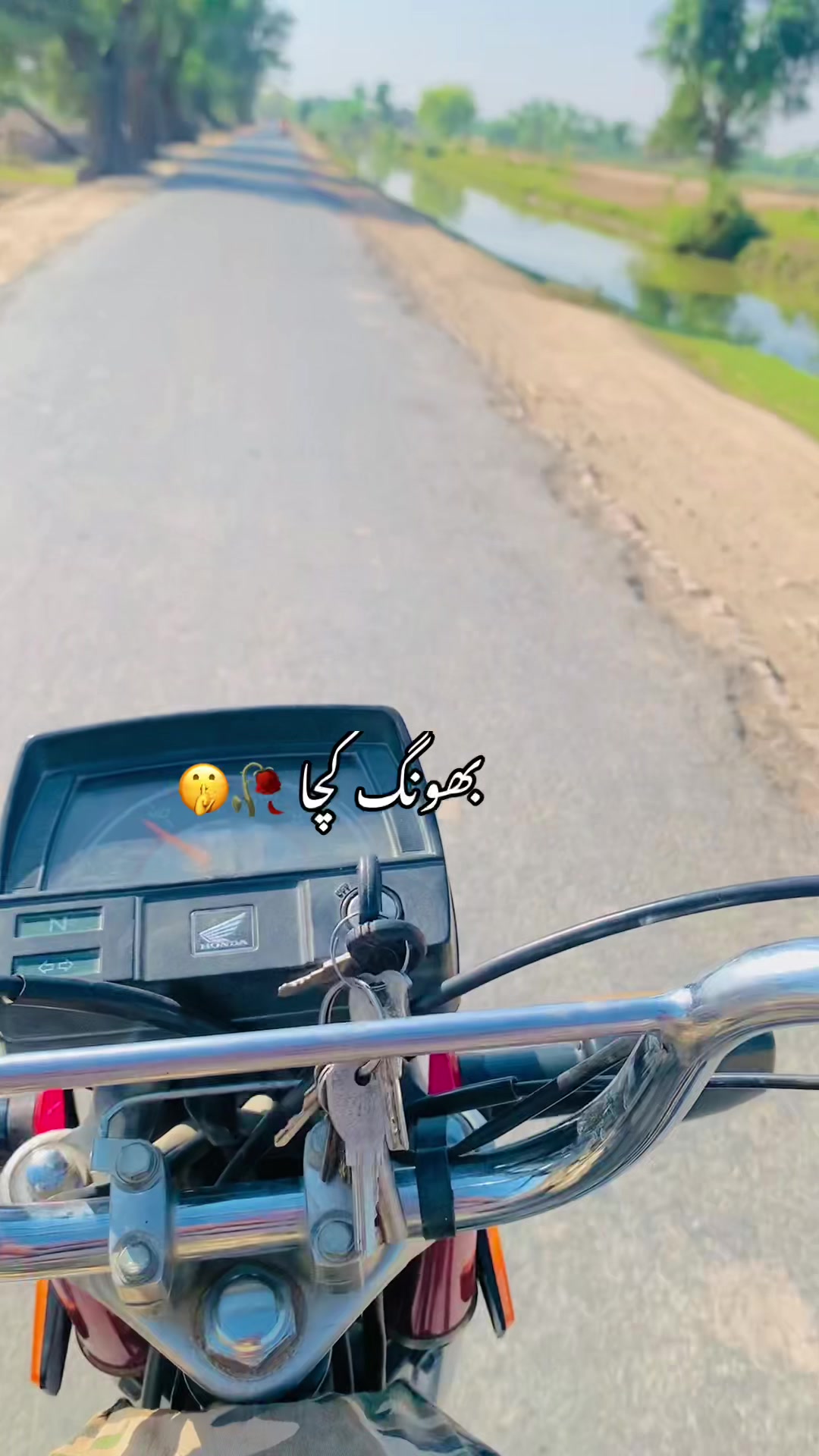 @⚔شہزاد بلوچ⚔ 🔱