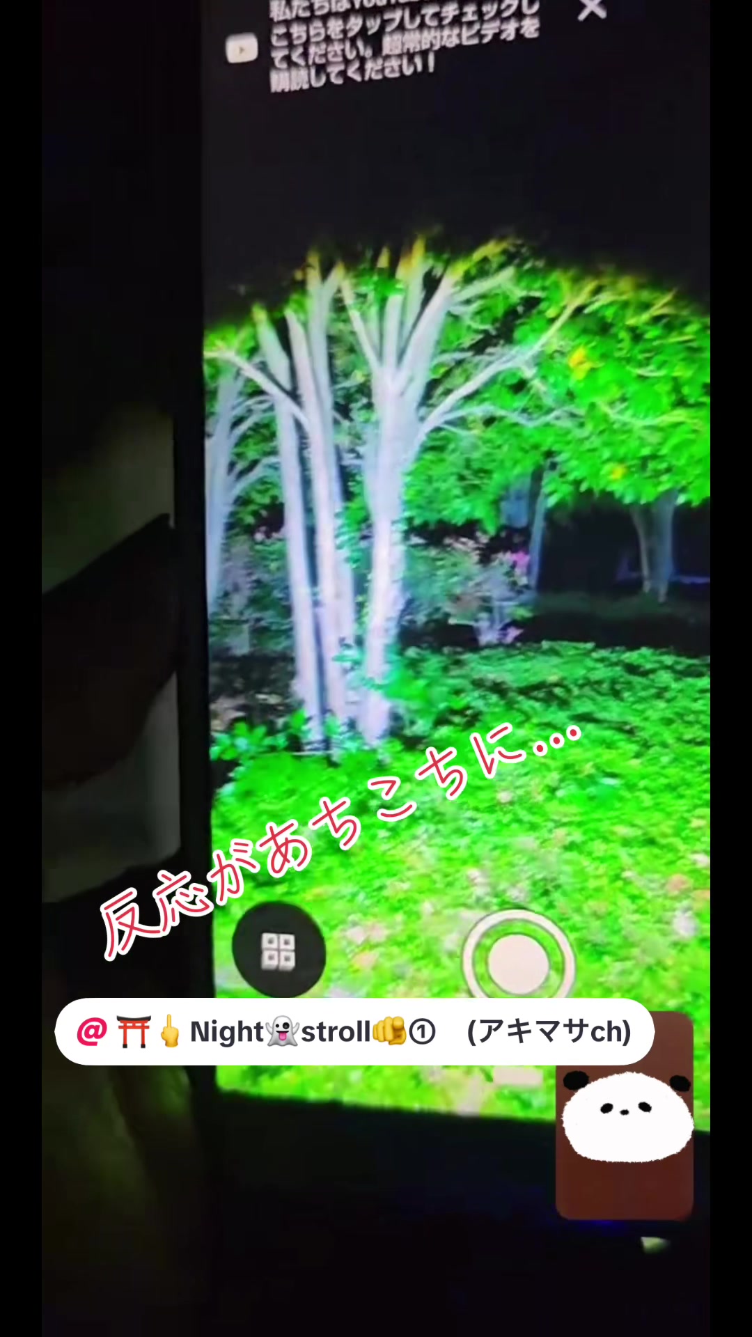 @そら。まめ。👻⛩✨🦁🏴☠️