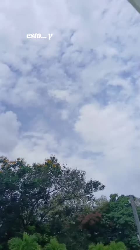 @ORIANNYS 🦋🪔