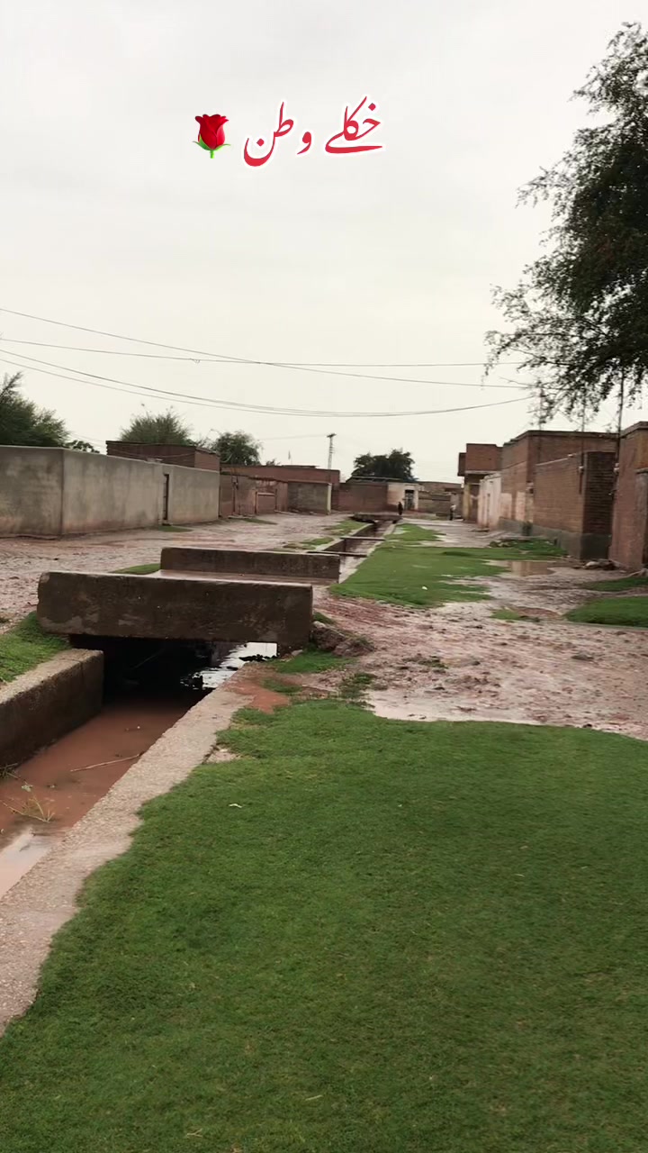 @Ali