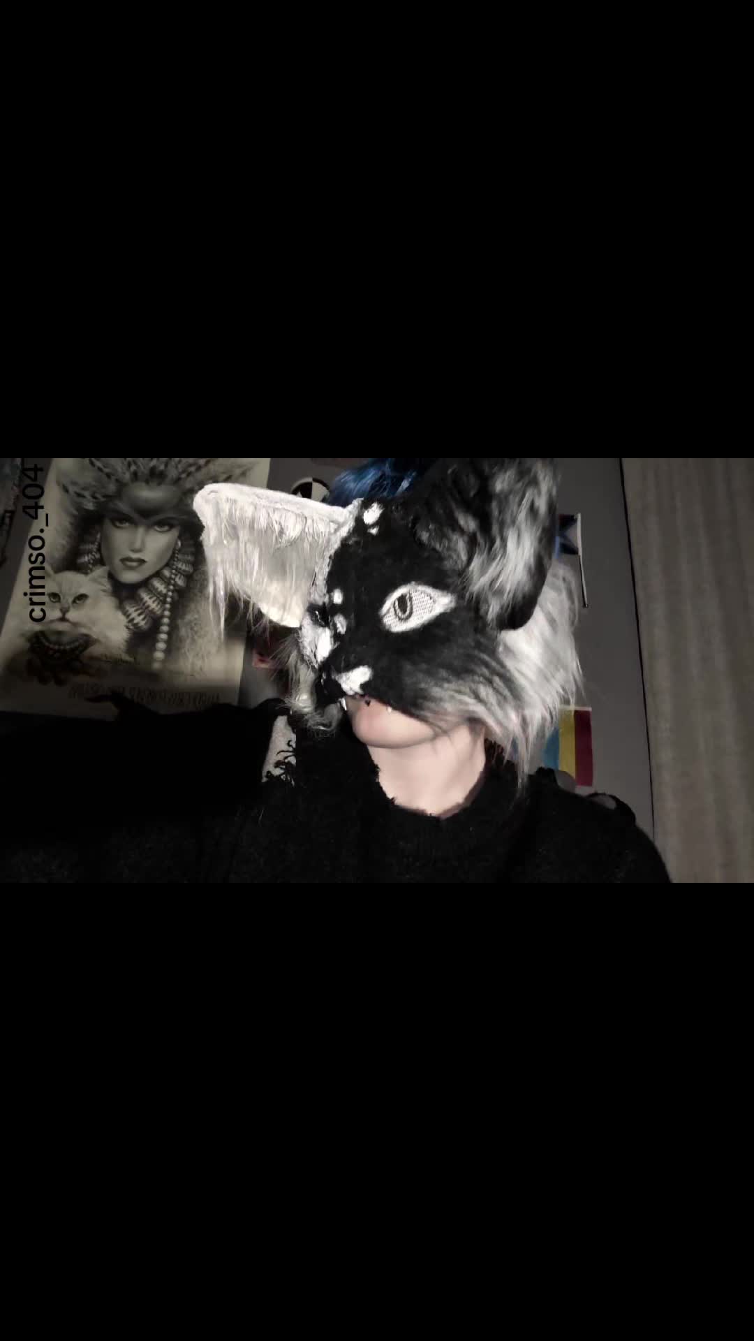 @🦇 CRIMSO 🦇