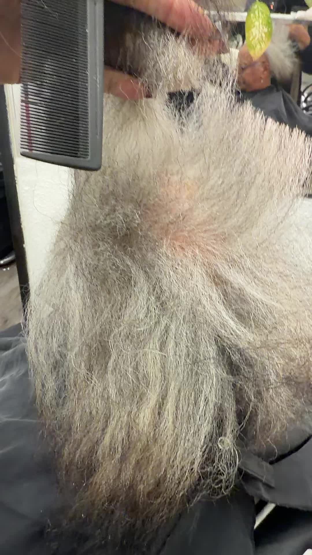 @She Hair ny
