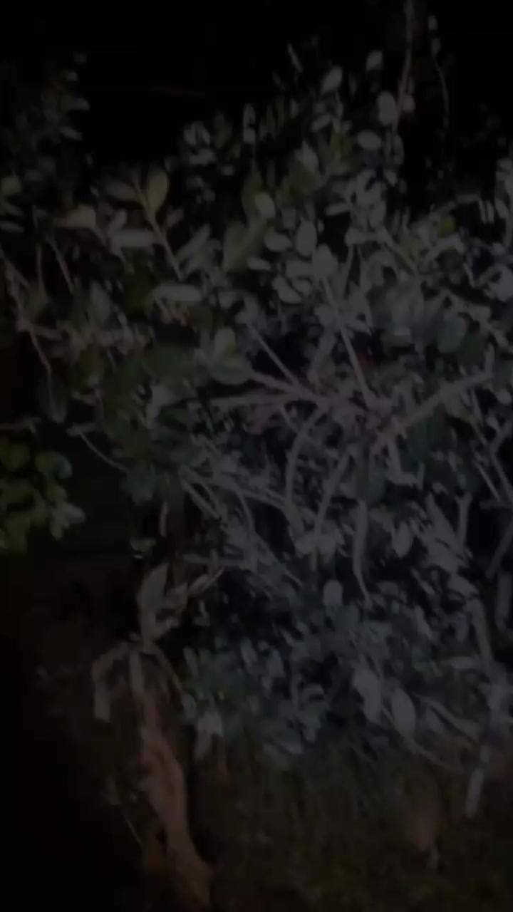 @Uthinkithot_Capcut organic