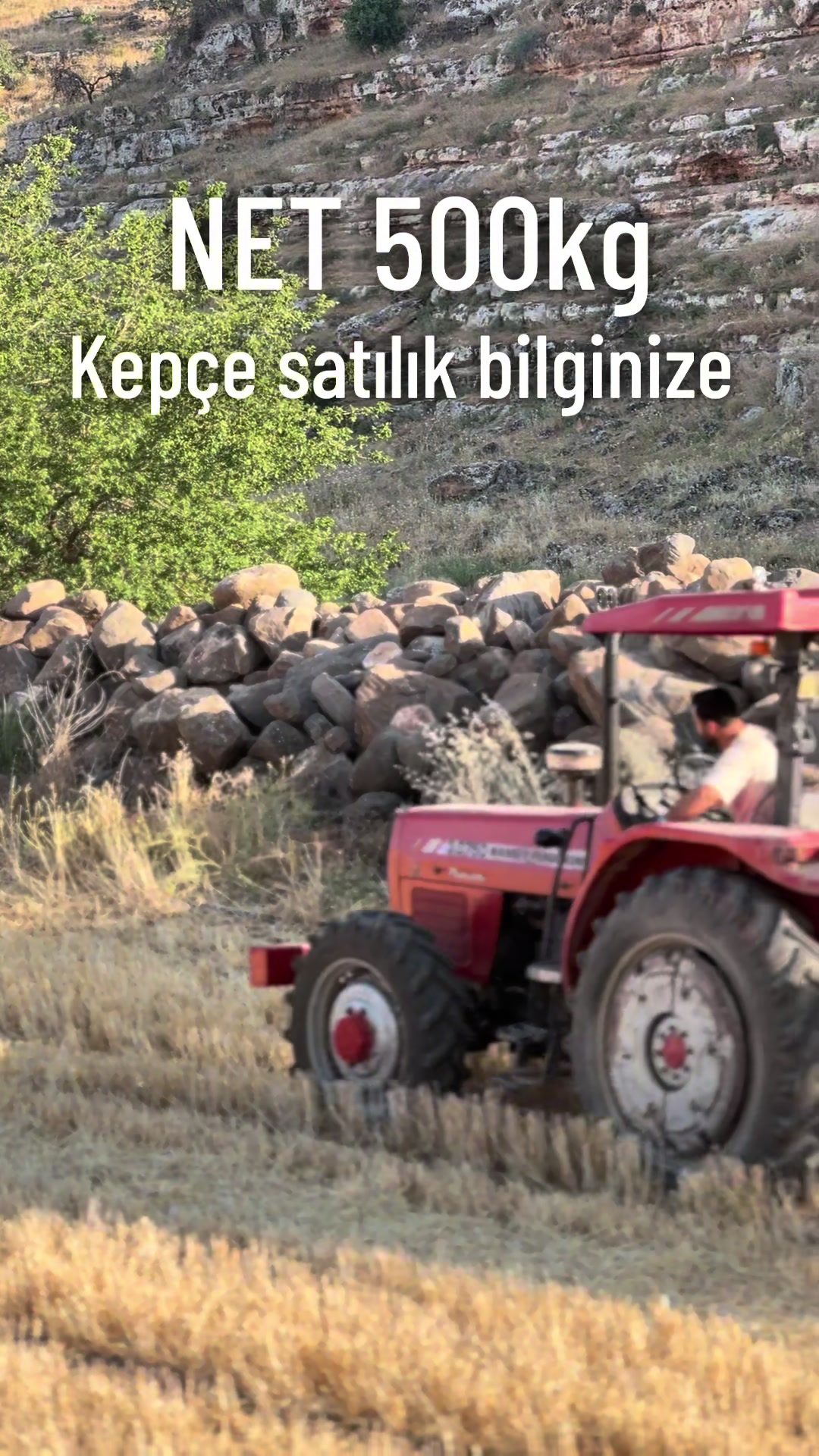 @🌾ICBUR TARIM 🌾
