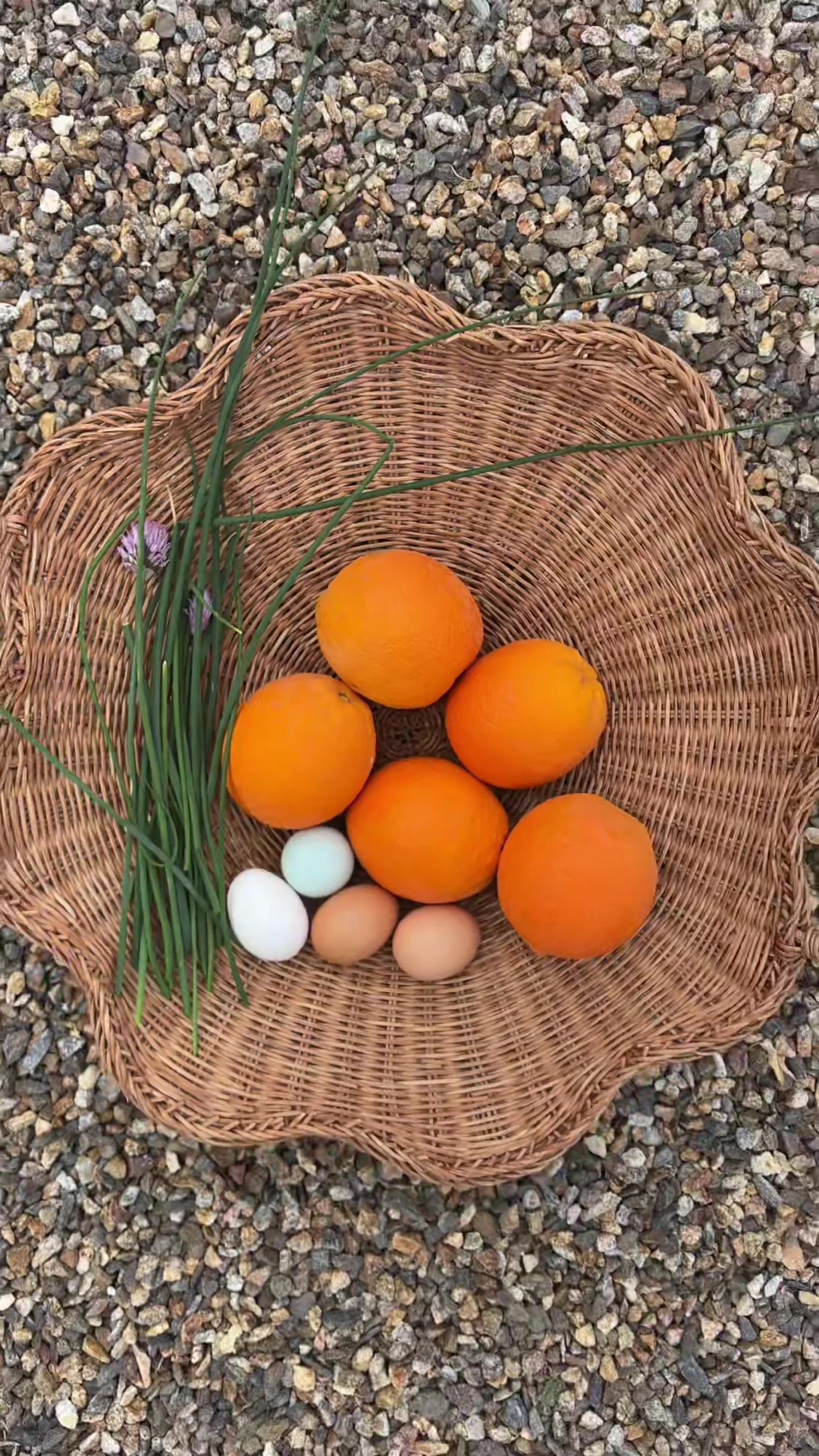 @earthboundgardening