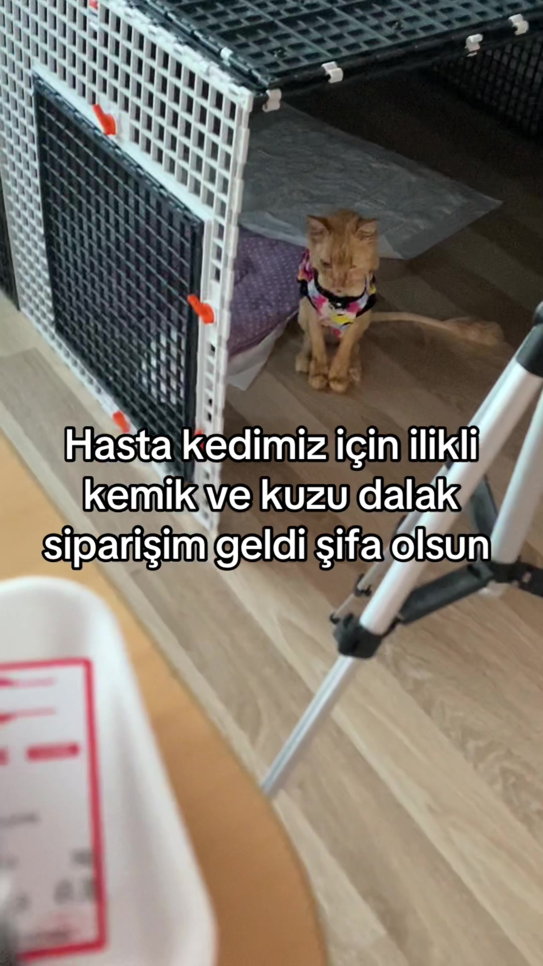 @yudummz_