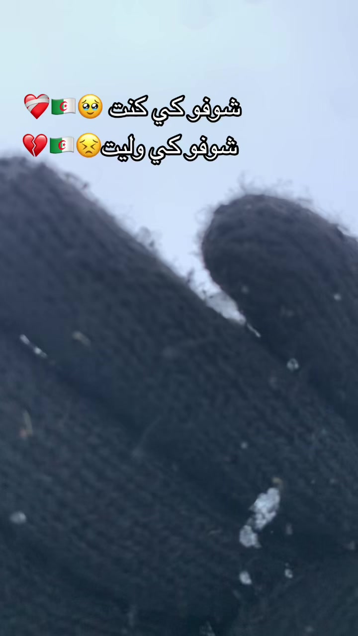@Radwen🦈🦅🧞&zwj;♂️