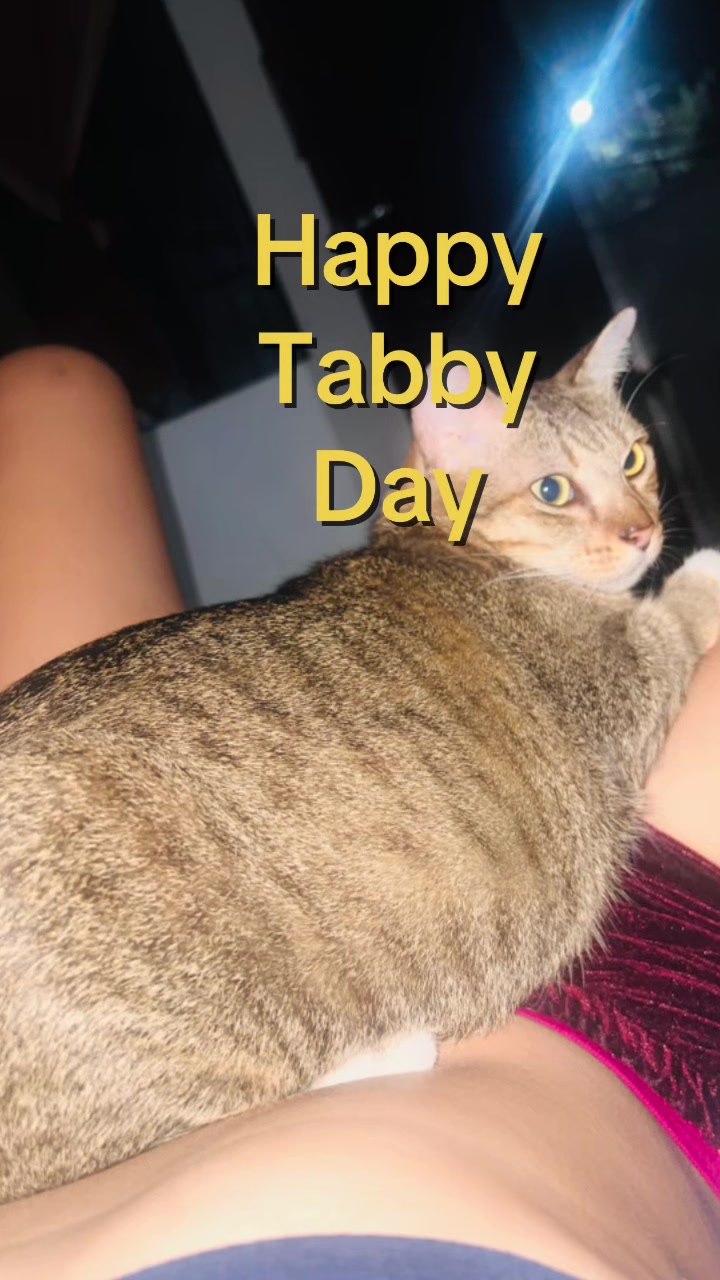 @17meows