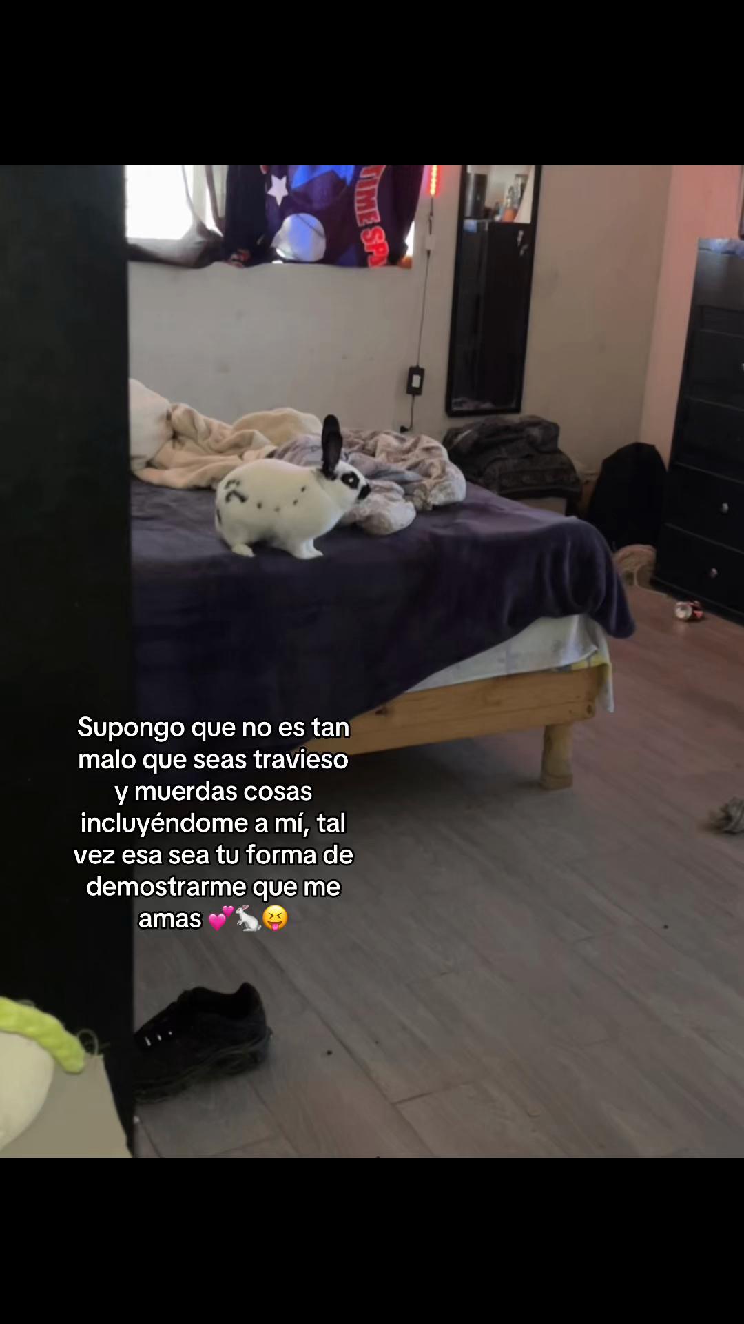 @Diego🇪🇪🪖