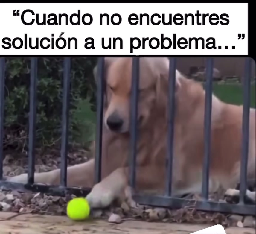 @juanaeducacionentretiene