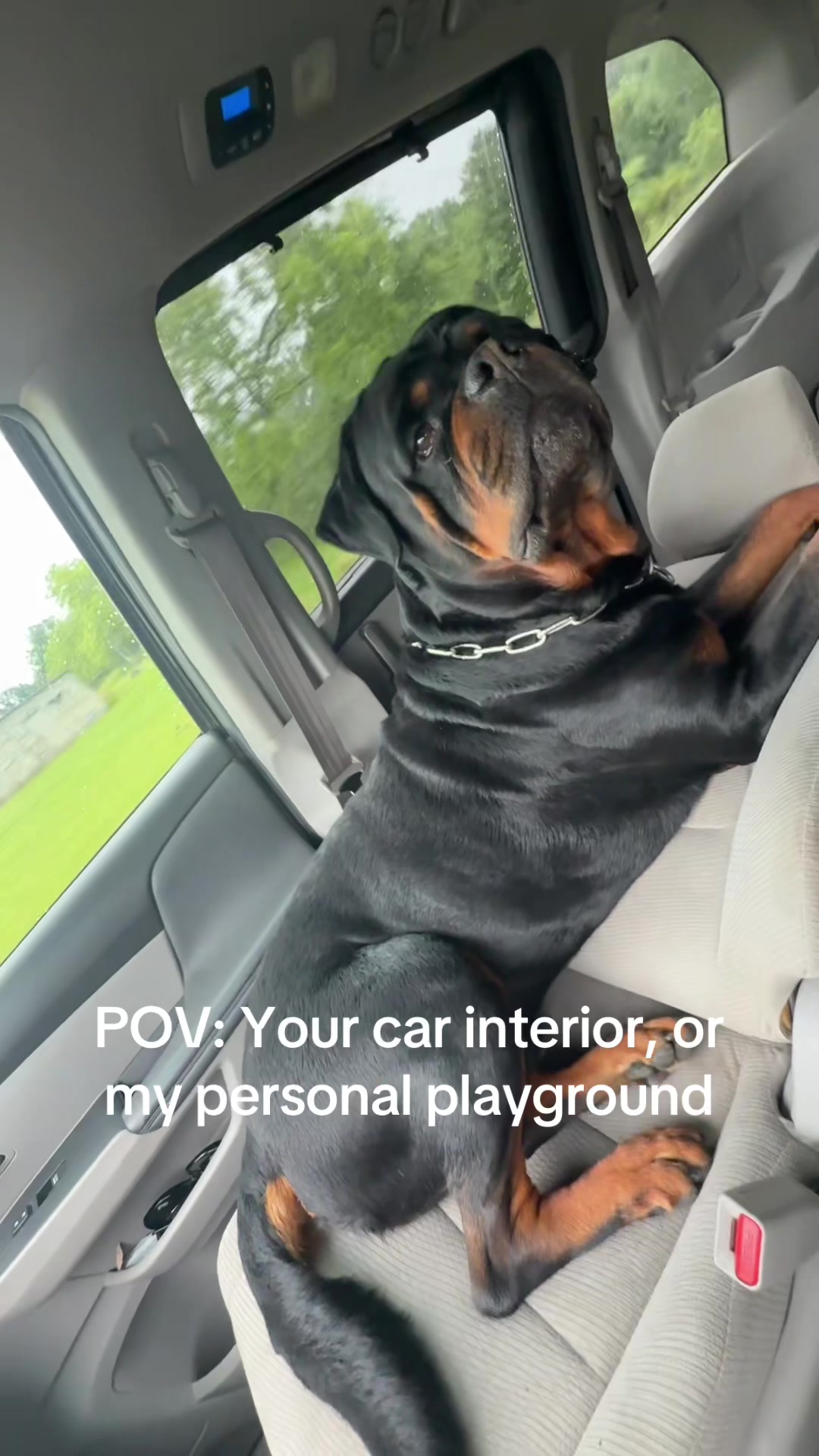@Buckeyerotts
