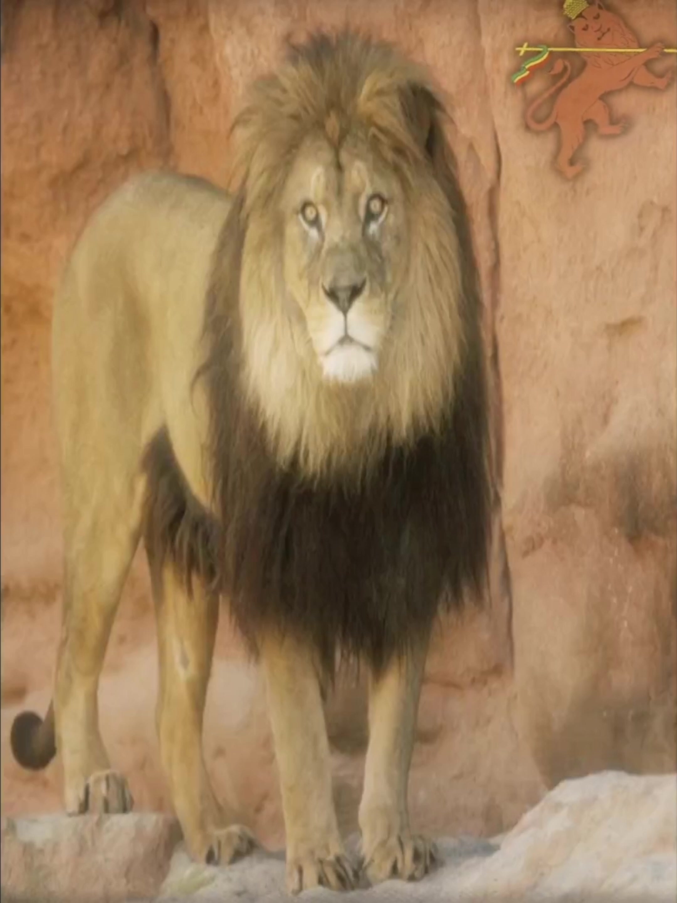 @ᴇᴢᴀɴᴀ 🇪🇹 ࿇ 𓃬