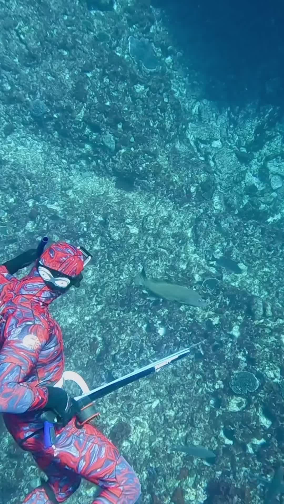 @straighthookers