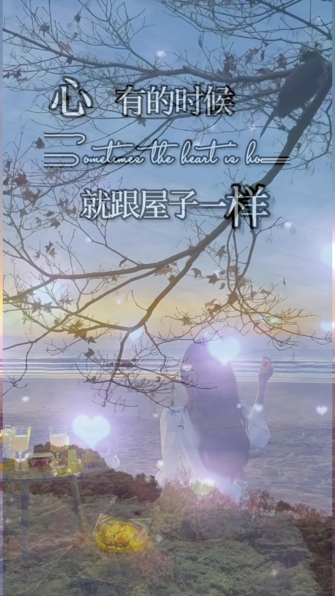 @菲菲