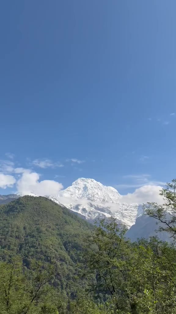 @Raju Tamang