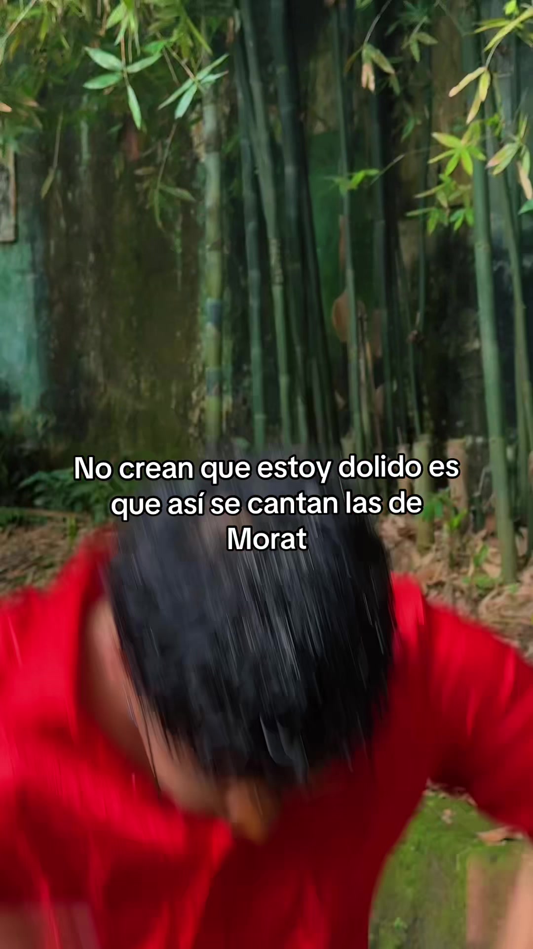 @Lauro🐻