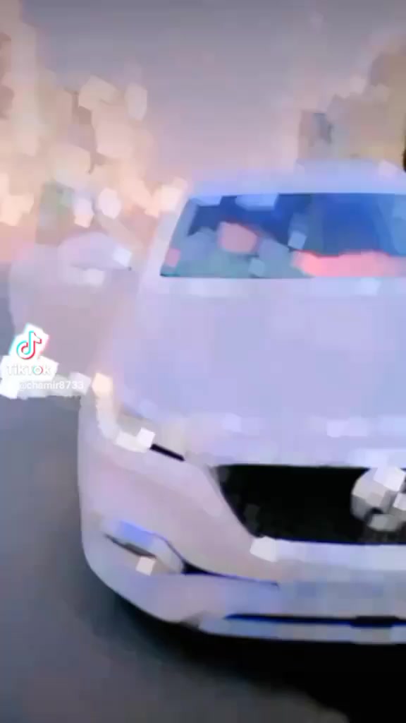 @chamir8733