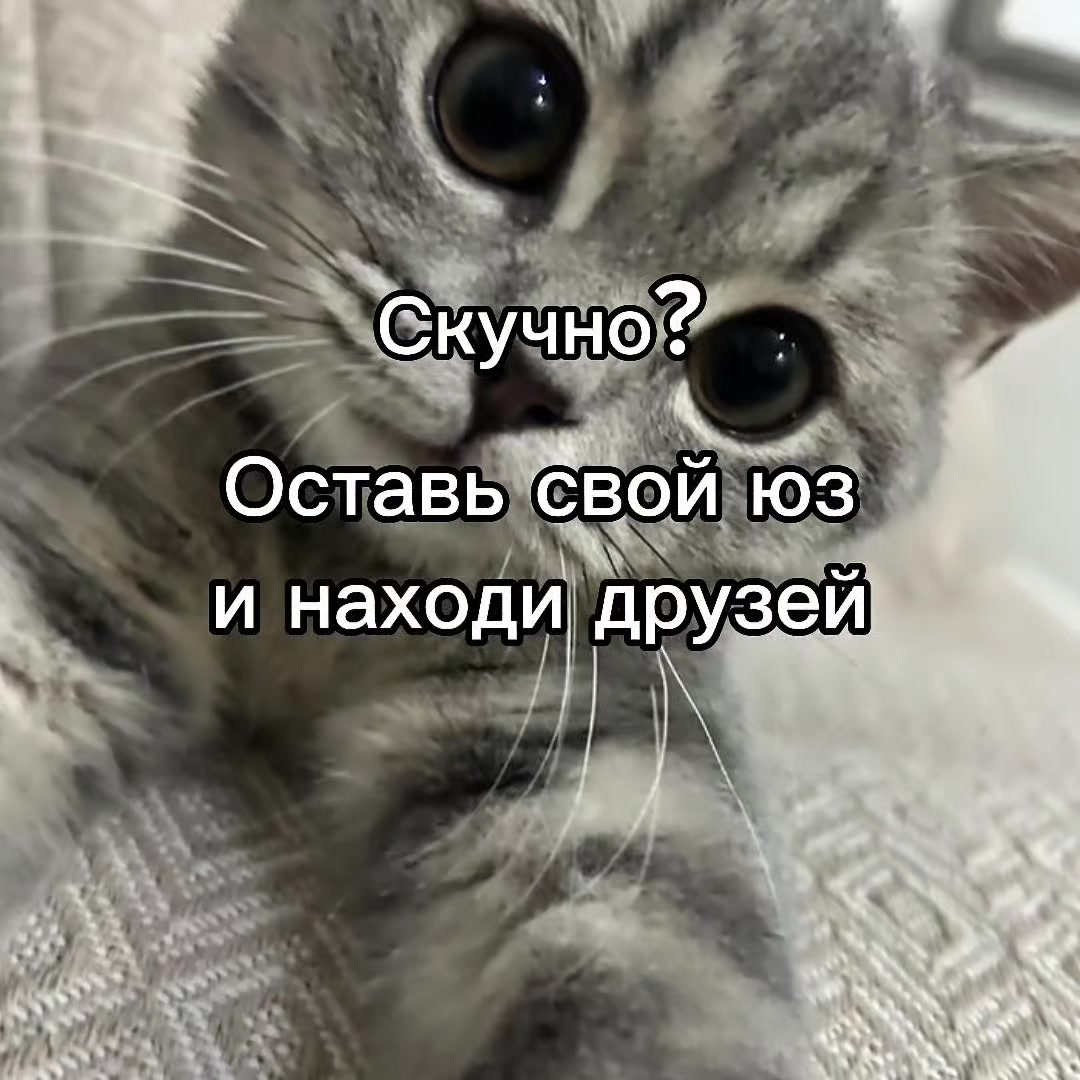 @mivrac