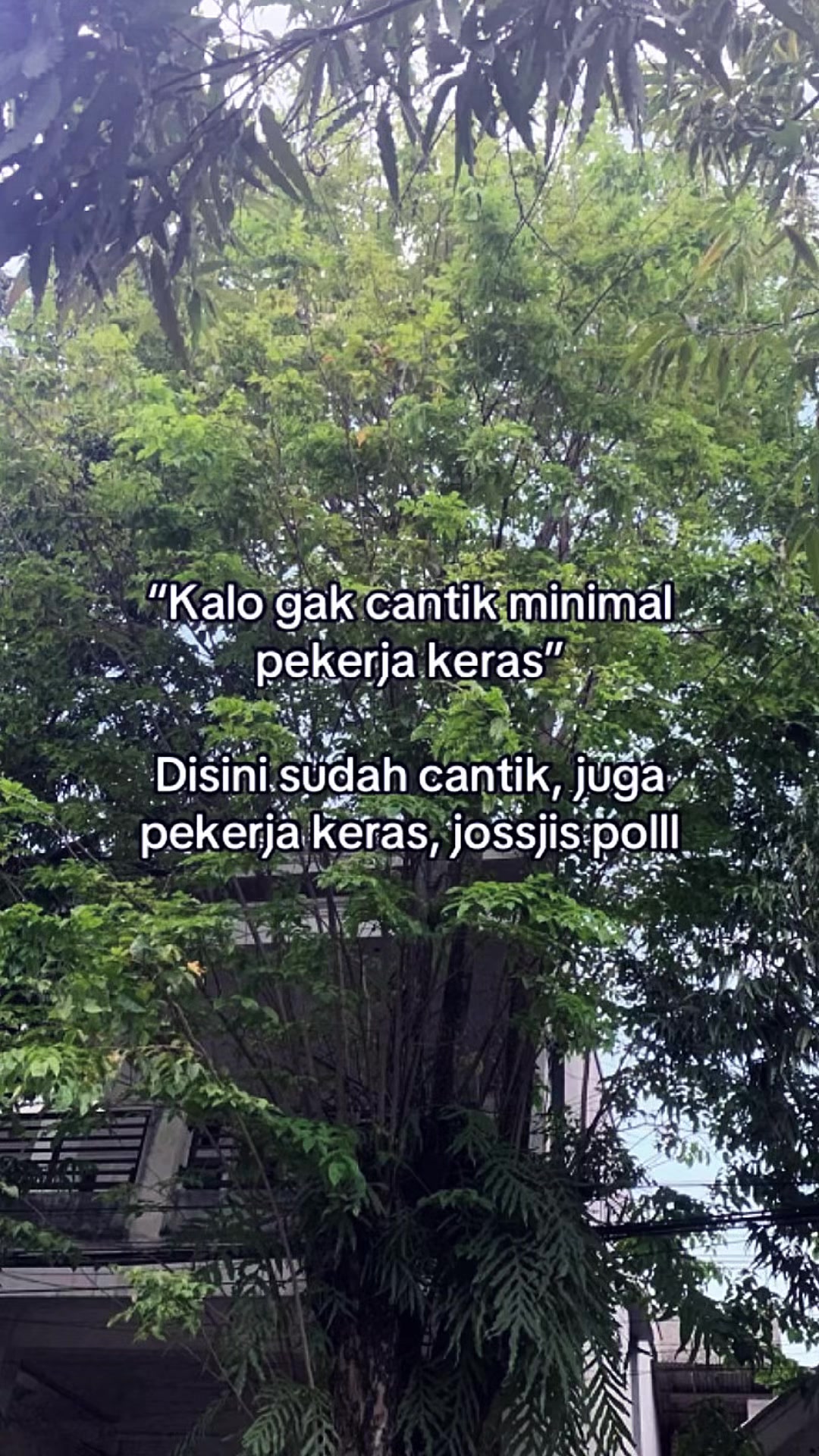 @ηαвιℓα