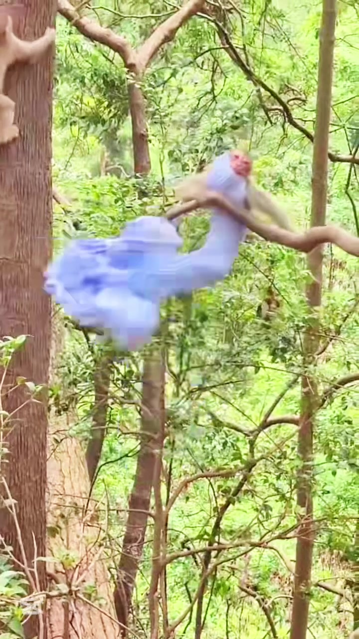 @liujiangyu