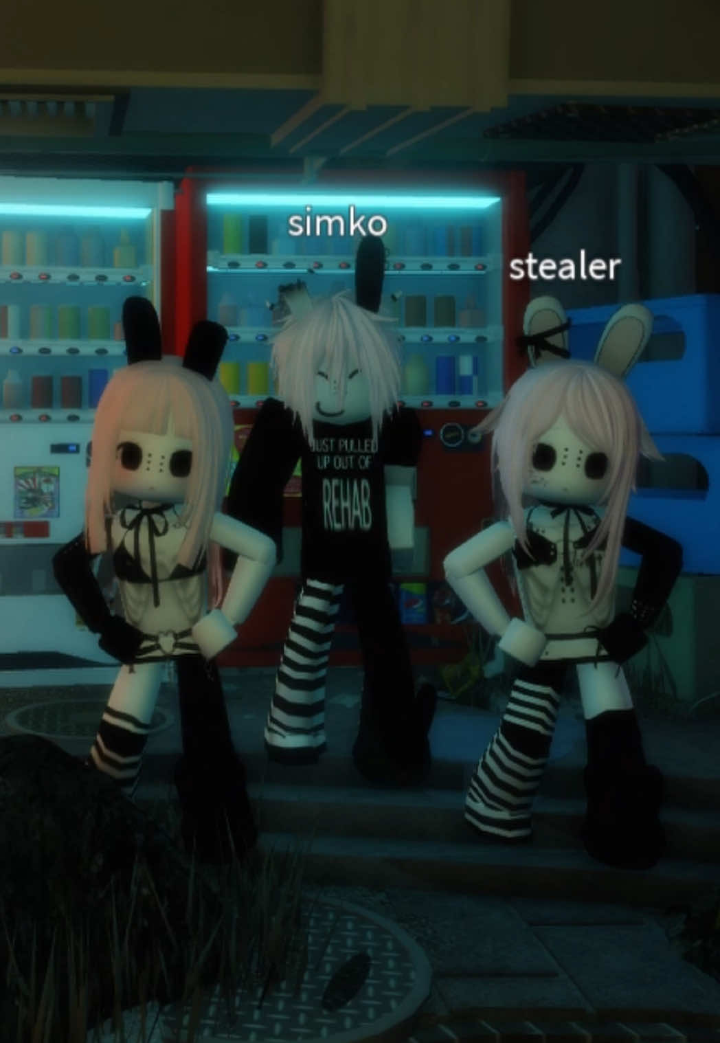 @/ᐠ - ˕ -マ Ⳋ