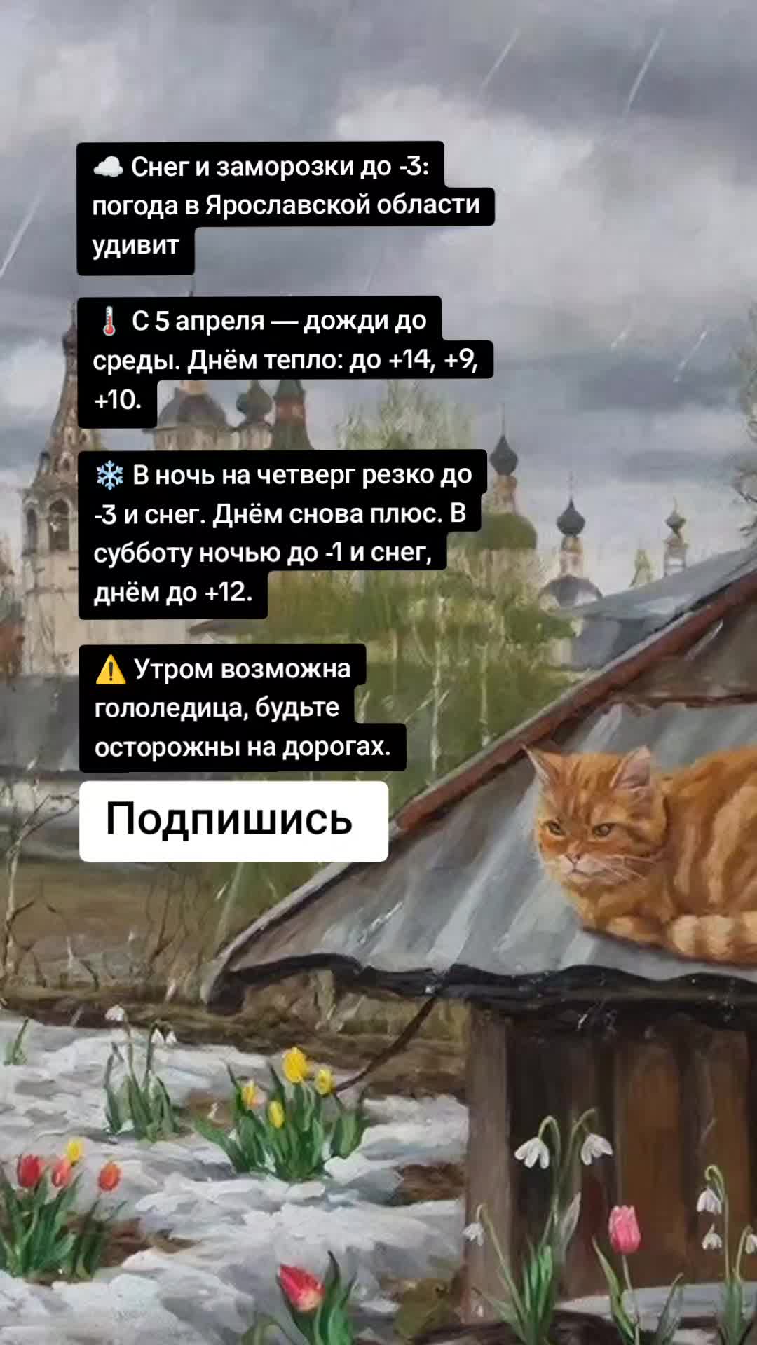 @Ярославские Новости