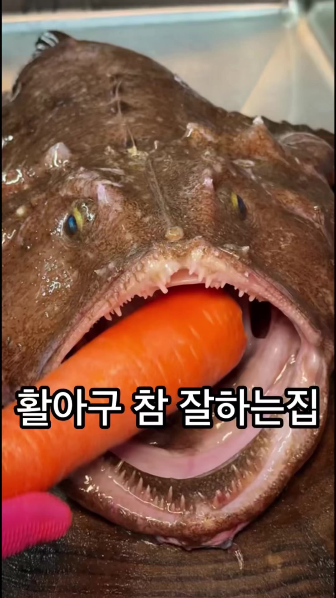 @뚱스맛집