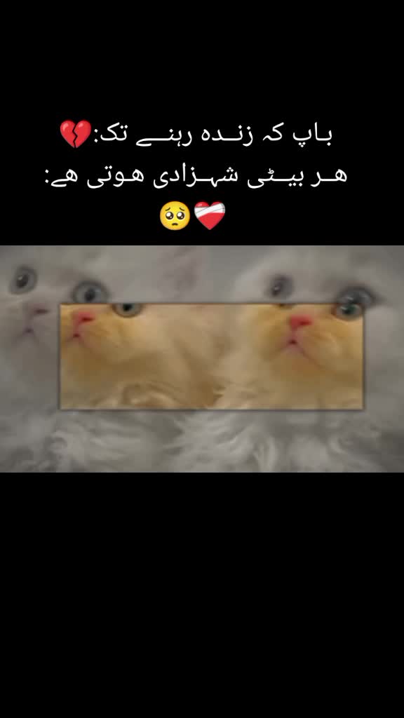 @♡BaBa ki jaan🦋❤️