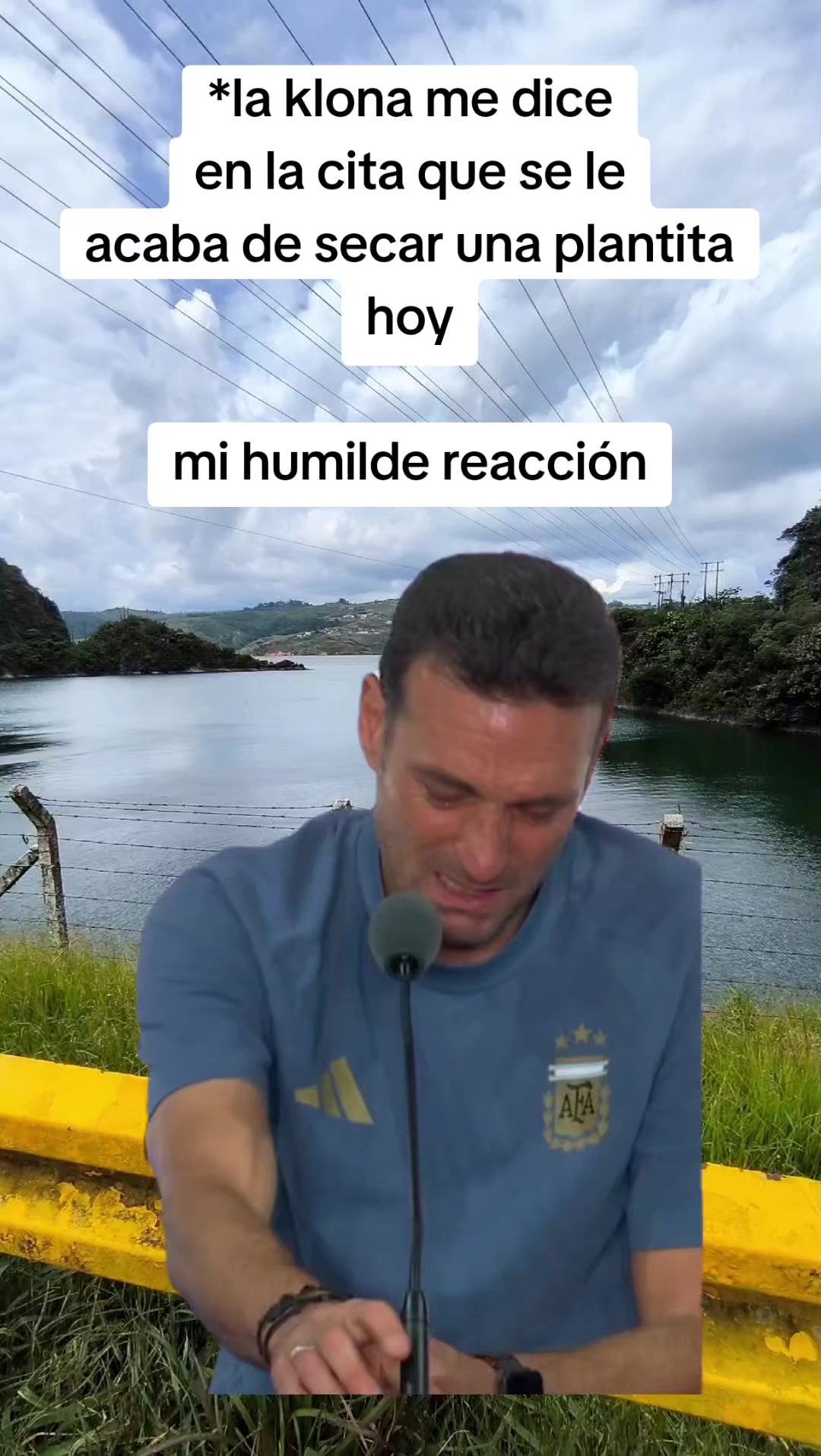 @Luis Carvajal240