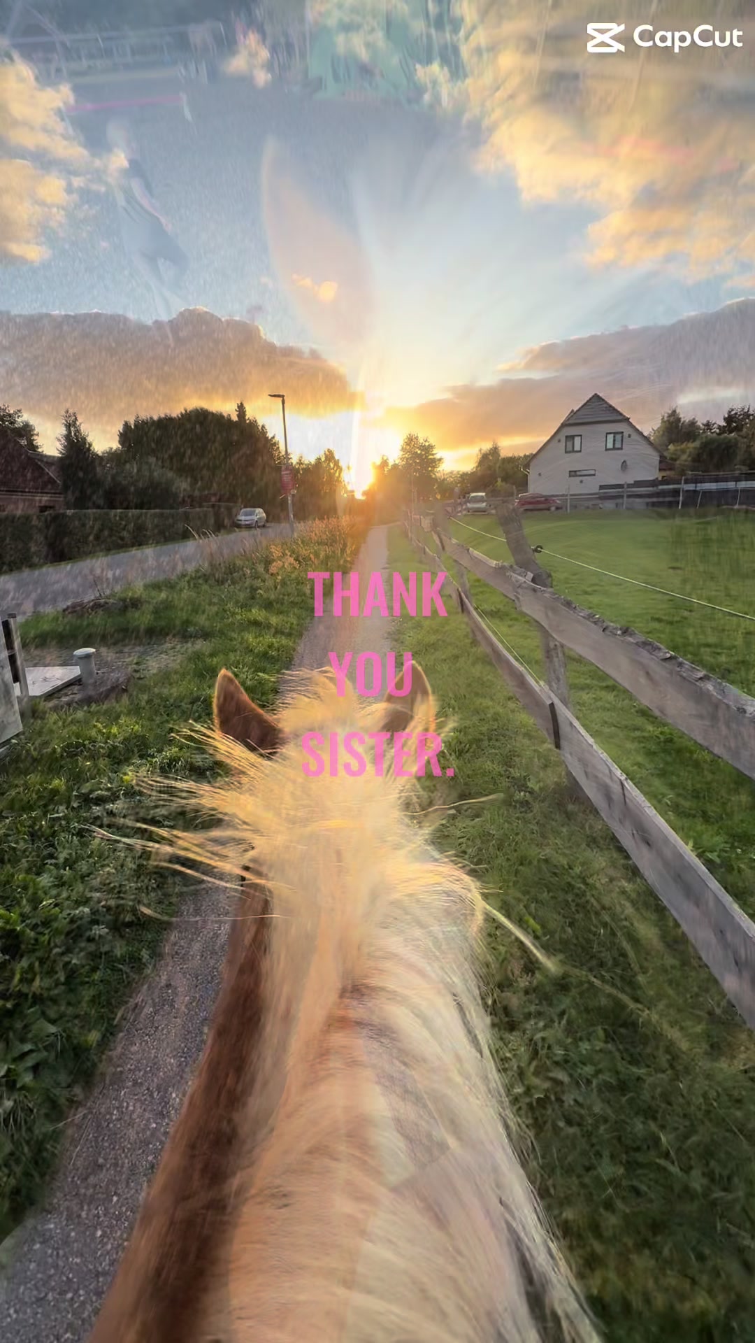@herzenspferd_lucie❤️🥹