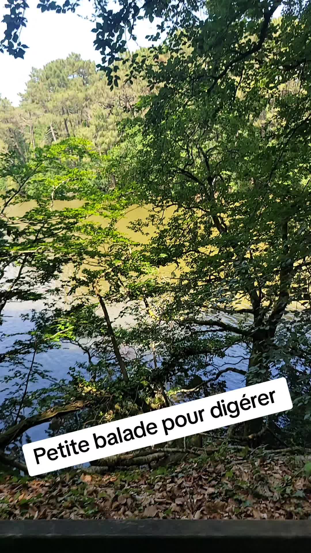 @Brunix