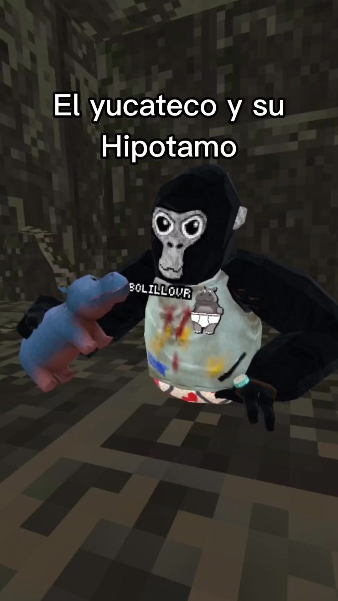 @BolilloVR