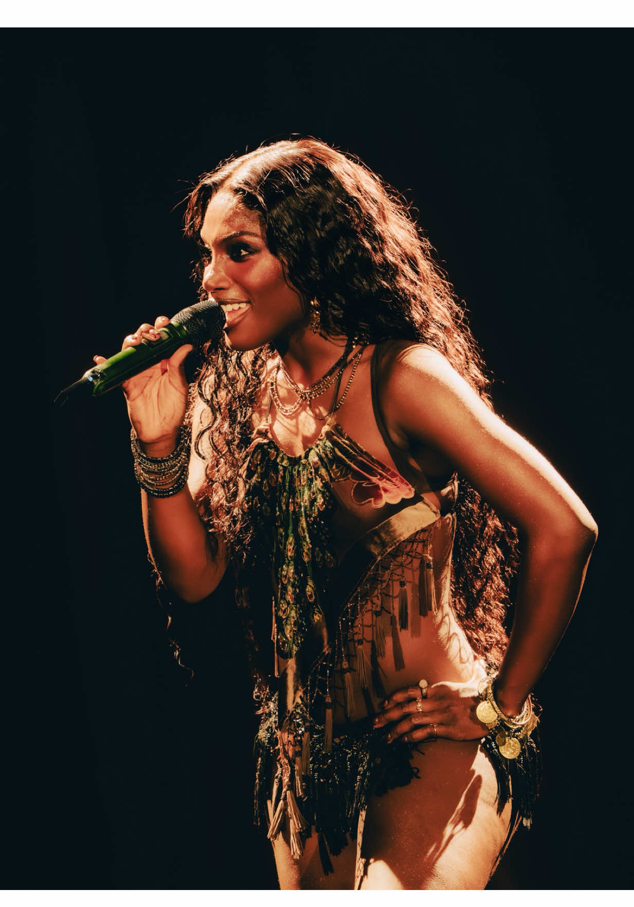 @lollapaloozaar