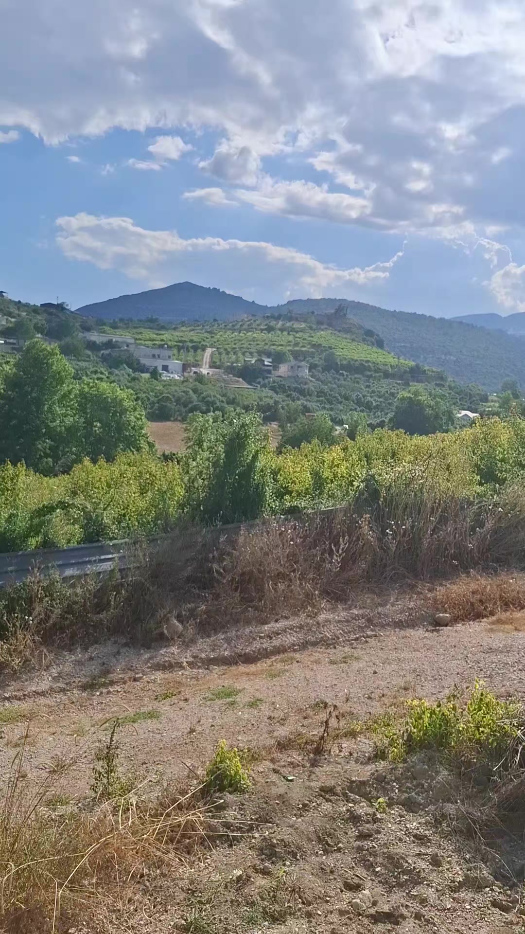 @KANCO HİZOL