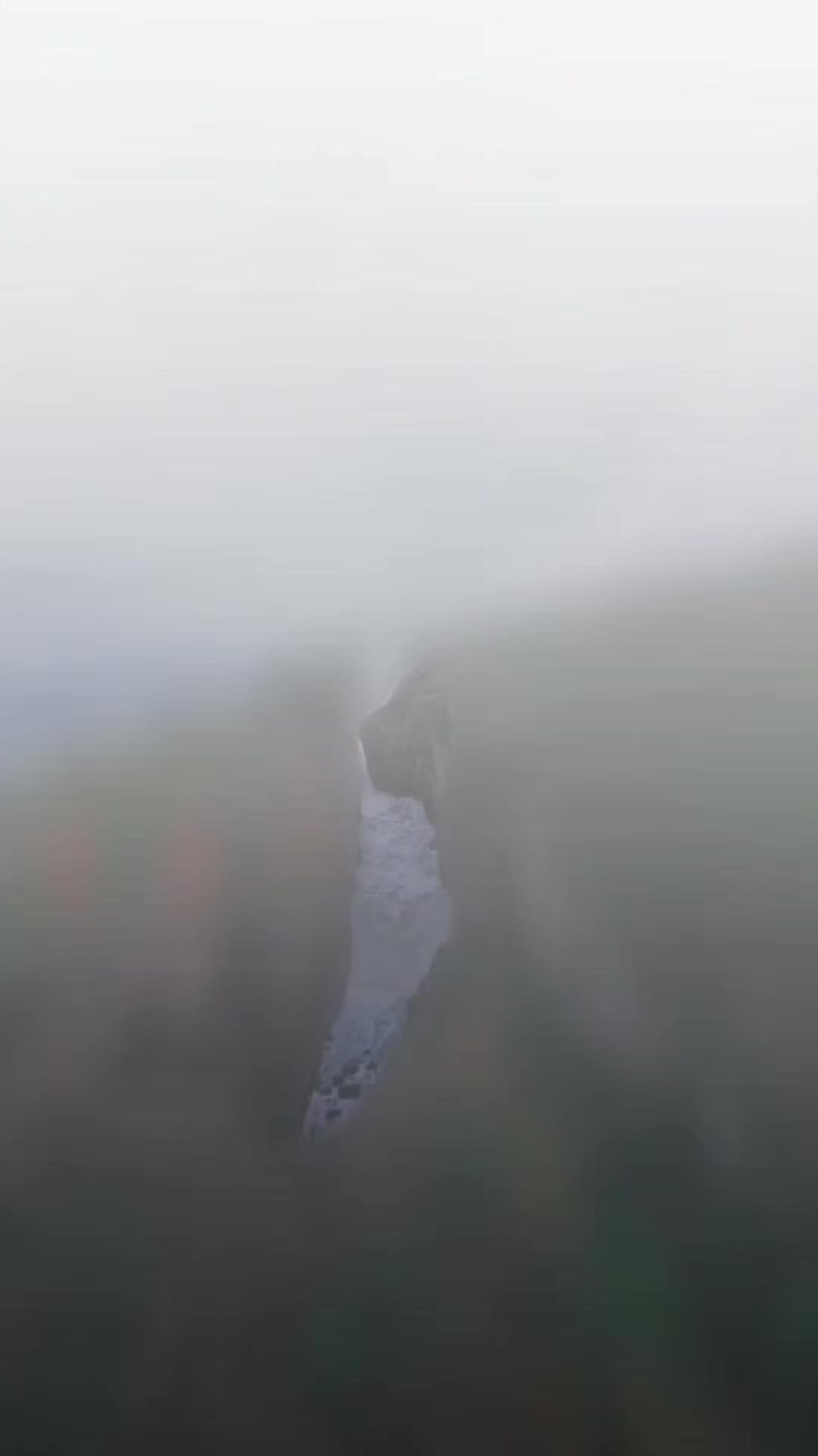 @Panchi_quotes 🥂🤍🌿