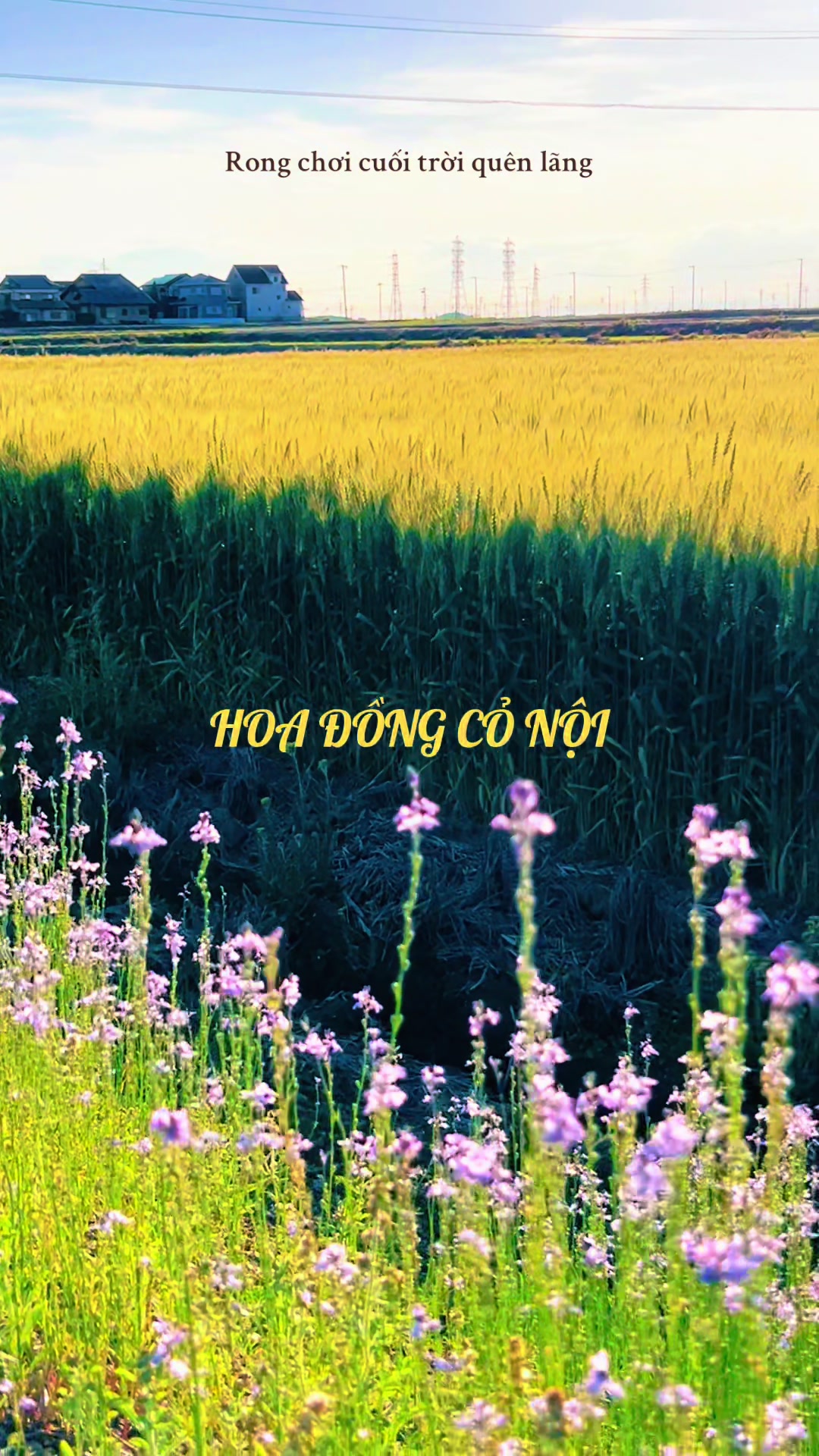 @nguyen thequan
