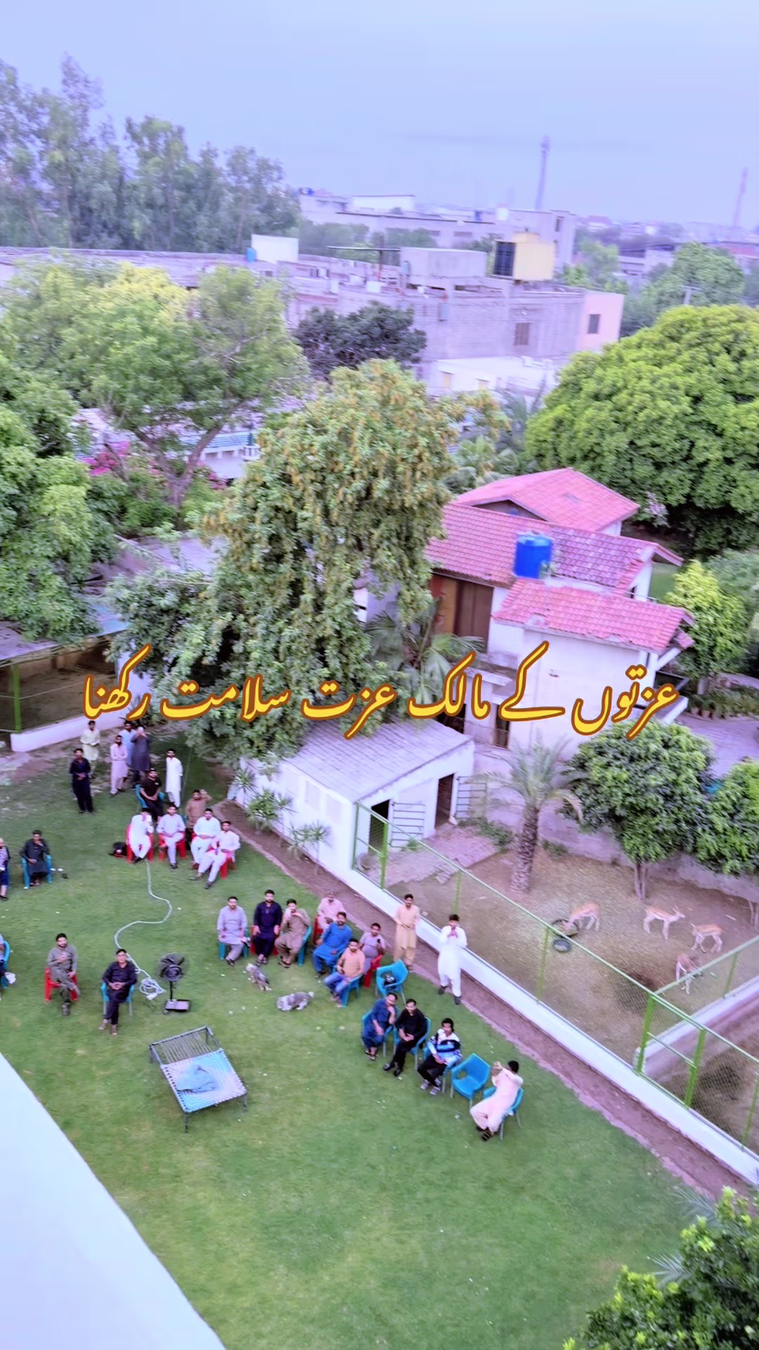@Hassan Lali