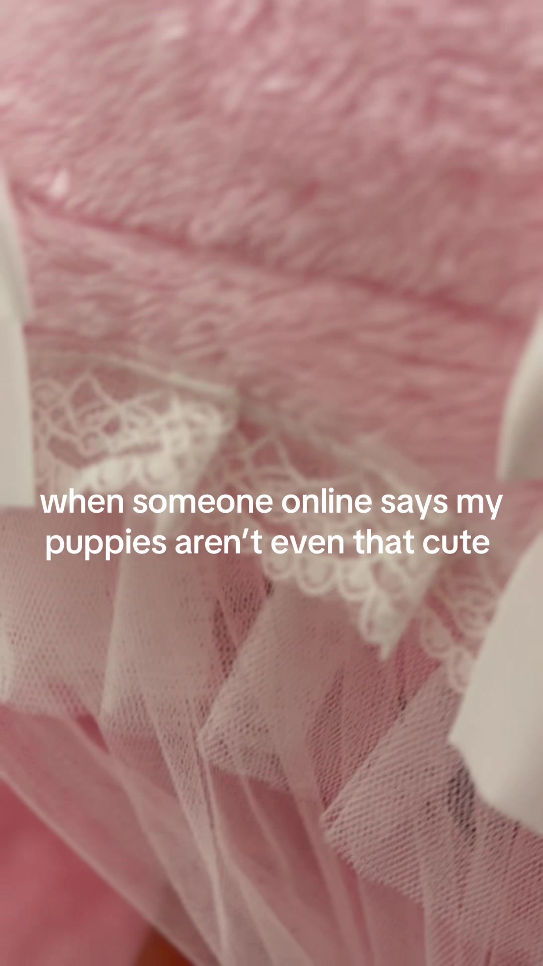 @Monica
