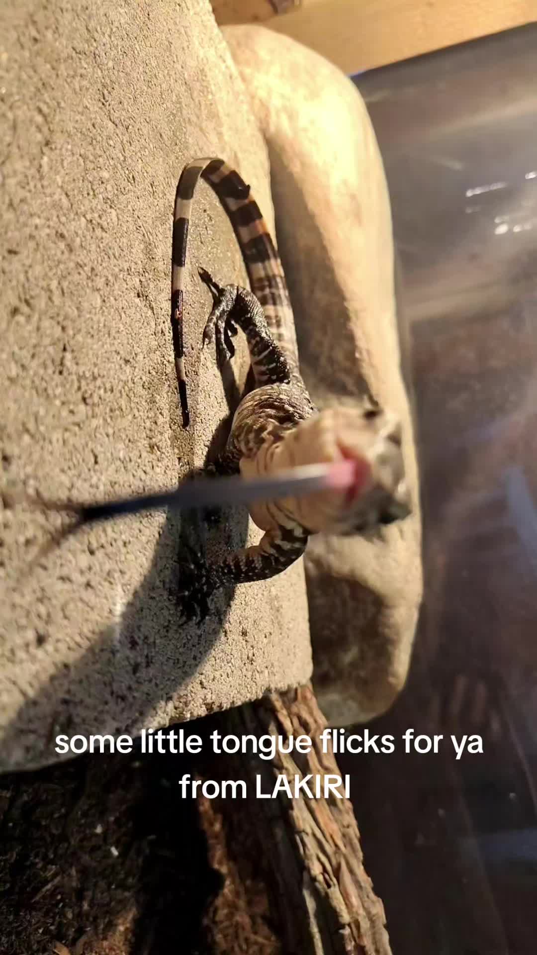 @AWWTIZUM