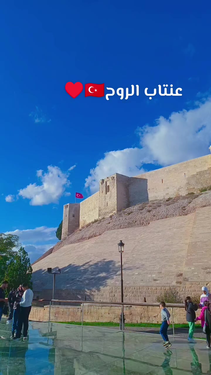 @☺️🌷زهرة حلب 🌷☺️