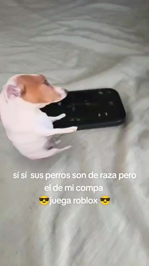 @🤷🏻♂️axeliño_777🤷🏻♂️